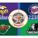 Minnesota State Vikings Twins Wild Flag 3x5FT  Polyester brass grommets custom66