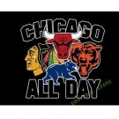 3X5FT ALL DAY Chicago Blackhawks Bulls Cubs logo flag custom flag 100D