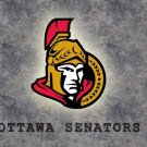 Ottawa Senators Activities Decoration Flag American Flag 100D Polyester 3x5 ft