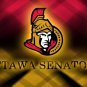 Ottawa Senators Activities Decoration Flag American Flag 100D Polyester 3x5 ft
