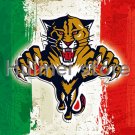 Florida Panthers Flag 3x5FT banner  100D Polyester brass grommets custom flag
