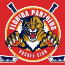 Florida Panthers $ number Feet x $ number Feet Flag Polyester Flag 3x5 ft