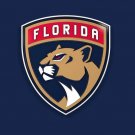 Florida Panthers $ number Feet x $ number Feet Flag Polyester Flag 3x5 ft