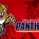 Florida Panthers $ number Feet x $ number Feet Flag Polyester Flag 3x5 ft