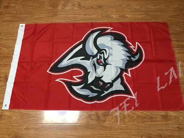 Buffalo Sabres Old flag 3ftx5ft Banner 100D Polyester Flag metal Grommets