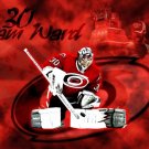Carolina Hurricanes 3ftx5ft Flag Flag 100D Polyester Flag Metal Eyelets 625
