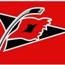 Carolina Hurricanes flag 3ftx5ft Banner 100D Polyester Flag metal Grommets