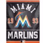 Miami Marlins Flag 3x5 FT Banner 100D Polyester Flag Brass Grommets