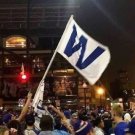 Chicago Cubs Team W Flag Banner 3x5FT Parade Festival Sports Baseball Team Decor