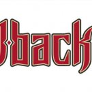 Arizona Diamondbacks Grommets Large Indoor Outdoor College Flag 3' x 5'  flag