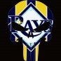 Tampa Bay Devil Rays flags 90x150cm polyesterbanner with 2 Metal Grommets