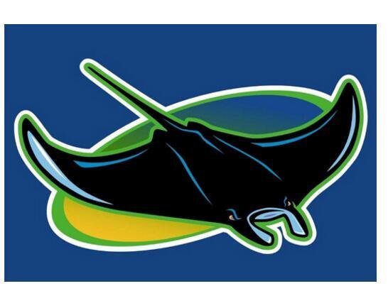 Tampa Bay Devil Rays flag 3ftx5ft Banner 100D Polyester Flag metal Grommets