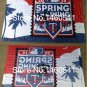 2015 Spring Training Flag 3ft x 5ft Polyester Minnesota Twins Banner Flying