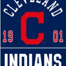 1901 cleveland indians digital print polyester Chicago Cubs flag 3ftx5ft