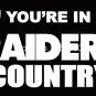Oakland Raiders Flag 3ft x 5ft Polyester Banner Flying Custom flag 90x150cm