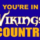 Minnesota Vikings you're in country Flag 3ft x 5ft