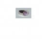 Men's Purple Star Ruby Ring