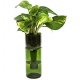 PLANTERS & POTS