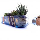 Succulent Planter / Bowl made from Johnnie Walker Blue label Bottle