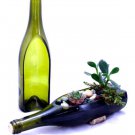 Succulent Planter Made from wine bottle single