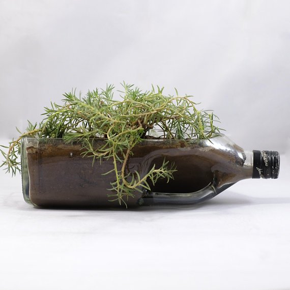 2 Litre JOHNNIE WALKER BLACK Label Succulent Planter - Herb Garden tray - Large Snack Bowl