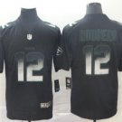 Men's Aaron Rodgers #12 Green Bay Packers 2019 Limited Player Jersey Black Smoke Fashion