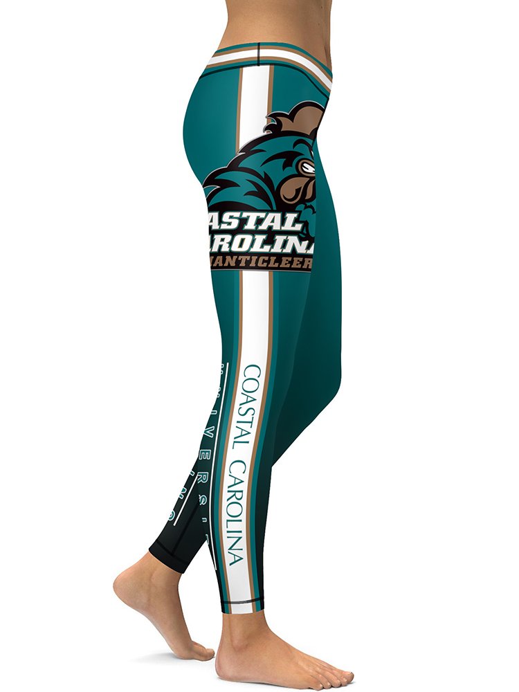 coastal rose leggings
