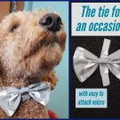 Dapper Dood Bow Tie