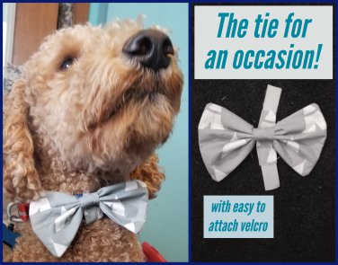 Dapper Dood Bow Tie