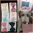 The Big Bad Bow