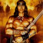 Arnold Schwarzenegger Signed Conan 16x20 Poster Photo PSA Exact Video Proof