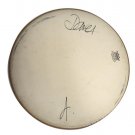 Blur Band X2 Autographed Signed Remo 16 Inch Drumhead UACC RD COA AFTAL