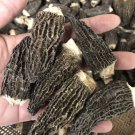 Morel Mushrooms, Whole (Dried)-250g