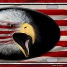 AMERICAN FLAG EAGLE NOVELTY METAL LICENSE PLATE AMERICAN FLAG EAGLE NOVELTY METAL LICENSE PLATE