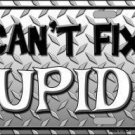 YOU CANT FIX STUPID METAL NOVELTY LICENSE PLATE YOU CANT FIX STUPID METAL NOVELTY LICENSE PLATE