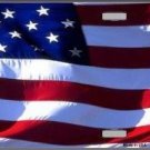 AMERICAN FLAG METAL NOVELTY LICENSE PLATE AMERICAN FLAG METAL NOVELTY LICENSE PLATE