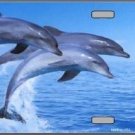 DOLPHINS NOVELTY METAL LICENSE PLATE