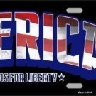 AMERICA METAL NOVELTY LICENSE PLATE