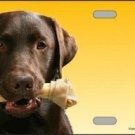 CHOCOLATE LABRADOR RETRIEVER DOG METAL NOVELTY LICENSE PLATE