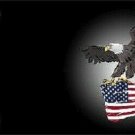 Eagle Flag Offset Metal Novelty License Plate Customize Add Text, words, quotes Eagle Flag Offset Metal Novelty License Plate Customize Add Text, words, quotes