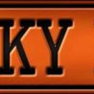 Spooky Blvd Novelty Metal Street Sign Spooky Blvd Novelty Metal Street Sign