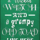 Wicked Witch and Grumpy Toad Novelty Mini Metal Parking Sign Wicked Witch and Grumpy Toad Novelty Mini Metal Parking Sign