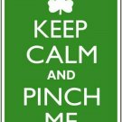 Keep Calm And Pinch Me Novelty Mini Metal Parking Sign
