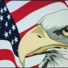 MADE IN U.S.A. American Flag With Eagle Metal Novelty License Plate MADE IN U.S.A. American Flag With Eagle Metal Novelty License Plate