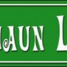 Leprechuan Lane Novelty Mini Metal Street Sign Leprechuan Lane Novelty Mini Metal Street Sign