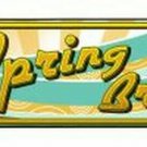 Spring Break Novelty Mini Metal Arrow