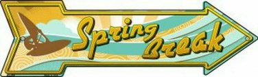 Spring Break Novelty Mini Metal Arrow