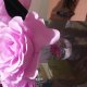 Giant Crepe Paper Rose