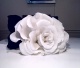 noveltyflowersncandy