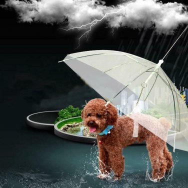 Portable Transparent Pet Dog Cat Umbrella with Built-in Leash Puppy Dry in Rain